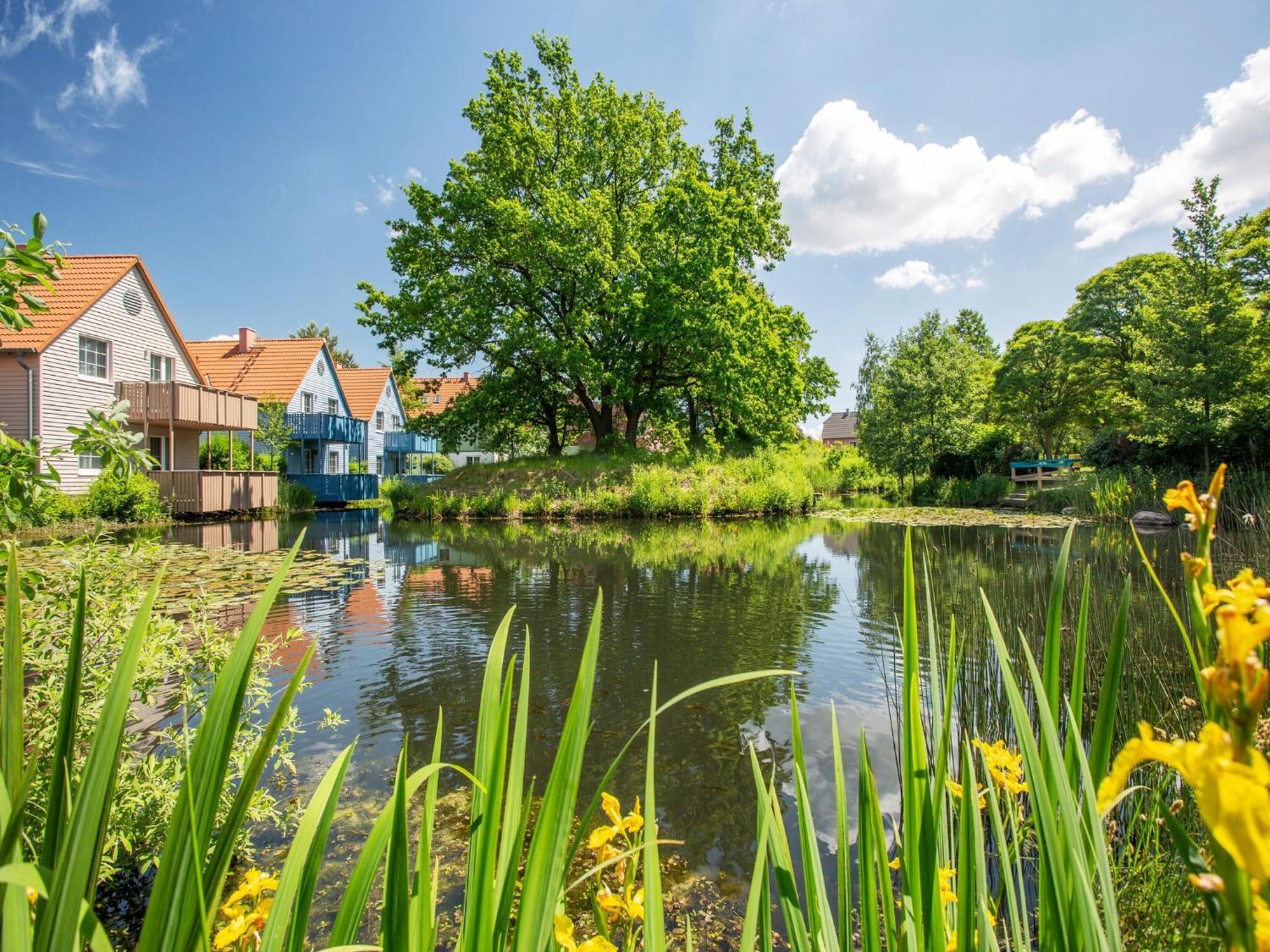 Holiday Complex Beech Resort Fleesensee G Hren Lebbin Göhren-Lebbin エクステリア 写真